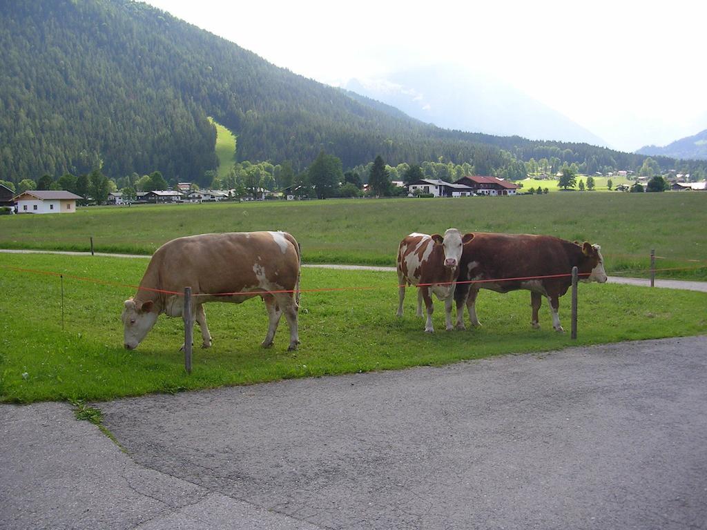 Gaestehaus Bodnerlehen Hotel Schönau am Königssee Kamer foto